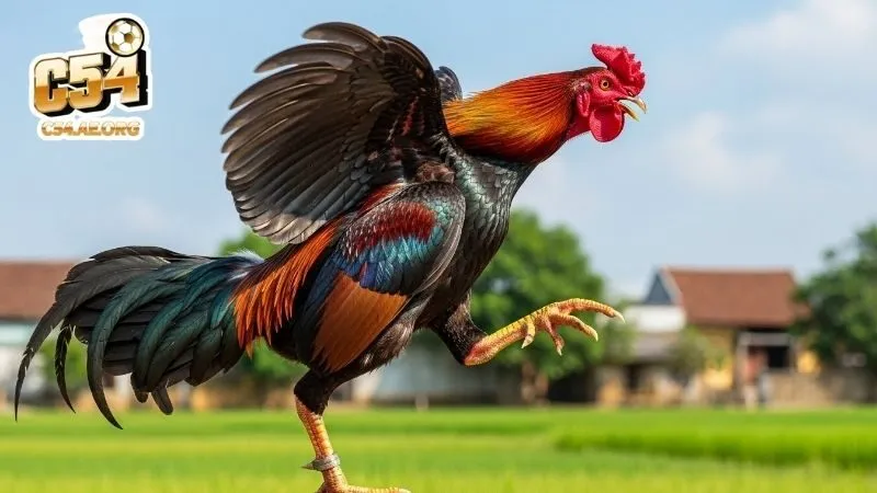 che-do-ren-luyen-va-dinh-duong-dac-thu